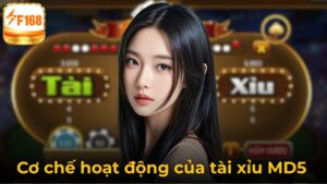 Giải Đáp Chi Tiết: Tài Xỉu MD5 Có Minh Bạch Không Trên F168
