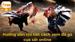 Trải Nghiệm Sát Thực Khi Xem Đá Gà Cựa Sắt Online Tại F168