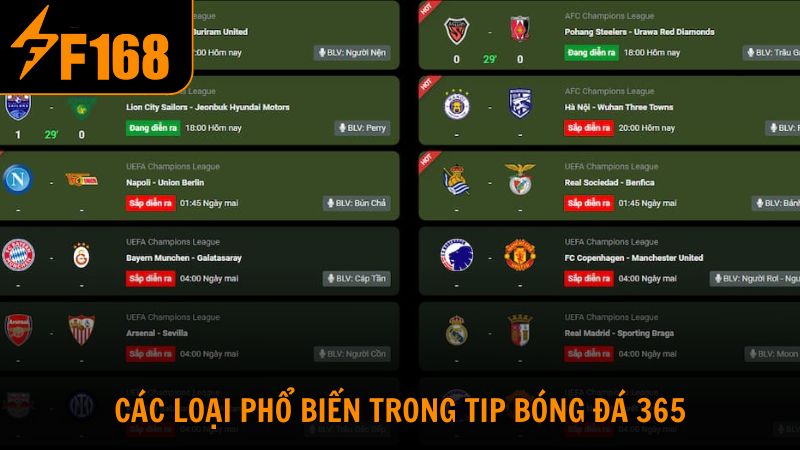 Các loại phổ biến trong tip bóng đá 365