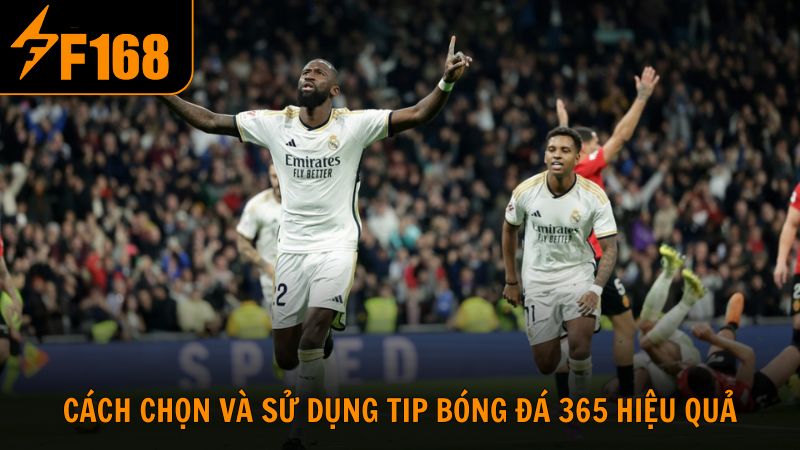 Cách chọn và sử dụng tip bóng đá 365 hiệu quả