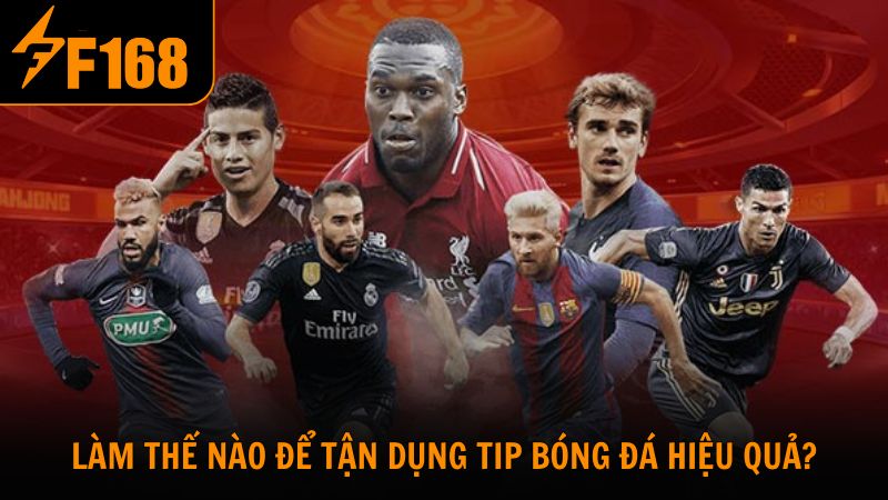 Làm thế nào để tận dụng tip bóng đá miễn phí hiệu quả?
