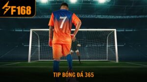 Tip bóng đá 365 soi kèo hiệu quả cho dân chơi cá cược