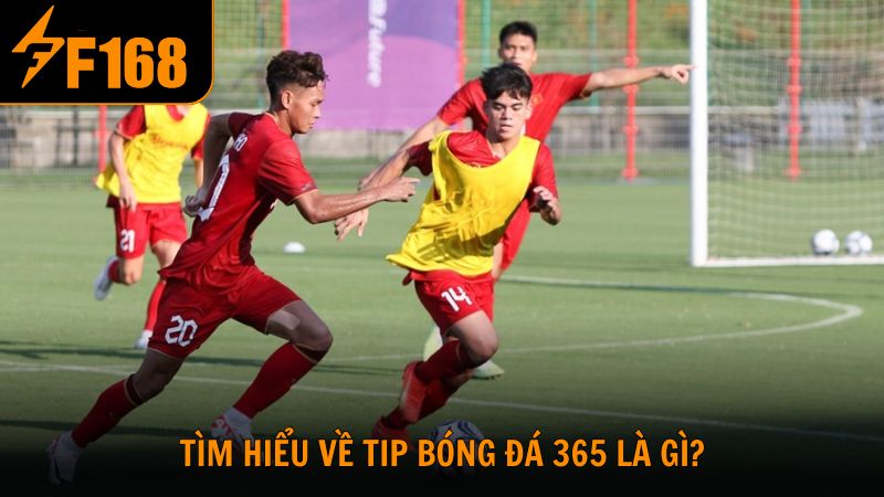 Tìm hiểu về tip bóng đá 365 là gì?